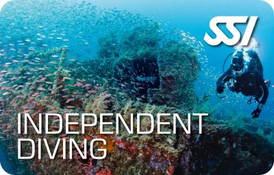 SSI C CARD   SPECIALTY COURSE   INDEPENDENT DIVING (SC SOLO)